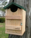 Looker Products Screech Owl, Kestrel and Flicker House