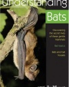 Understanding Bats