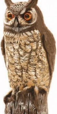 Dalen OW6 Gardeneer 16-Inch Molded Owl