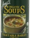 Amy's Organic Vegetable Barley Soup, Low Fat, 14.1-Ounce Cans (Pack of 12)