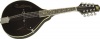 Rogue RM-100A A-Style Mandolin Black