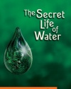 Secret Life of Water