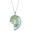 35mm Nautilus Shell 925 Sterling Silver Pendant Silver Box Chain 18