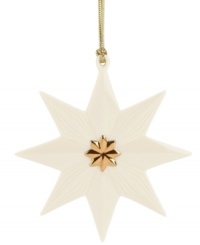 In true Lenox style, this porcelain star ornament with carved details adds a beautiful touch to your tree. Finished with a gold star center and hanging thread.