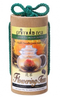 Primula Gift Set of 12 Assorted Green Tea With Fresh Jasmine Flowers