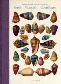 Shells / Muscheln / Coquillages: Conchology, or The Natural History of Sea, Freshwater, Terrestrial and Fossil Shells (English, French and German Edition)