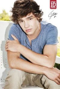 (24x36) One Direction Liam Music Poster