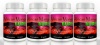 African Mango Burn (4 Bottles) - The Ultimate African Mango Fat Burning Supplement. Pure Irvingia Gabonensis Weight Loss, Appetite Suppressing Diet Pill