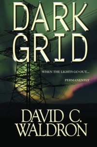 Dark Grid: When The Lights Go Out...Permanently.