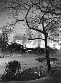 Winter Night NY Central Park Photo 14x20 Limited-Edition Artistic Planked Wood Sign