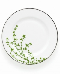 An instant classic from kate spade, this Gardner Street Green bread and butter plate exudes contemporary elegance. Green stems of foliage flourish on fine white bone china, creating a stylized two-tone floral motif to freshen up your table.