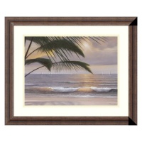 Paradiso Framed Wall Art by Diane Romanello - 22.30W x 18.30H in.