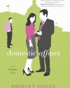 Domestic Affairs: A Novel