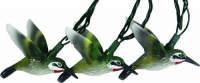 Rivers Edge 10-Piece Humming Bird Light Set