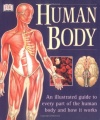 Human Body: An Illustrated Guide to Every Part of the Human Body and How It Works