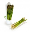 Prepara Herb Savor Pod