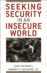 Seeking Security in an Insecure World