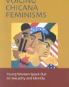 Voicing Chicana Feminisms: Young Women Speak Out on Sexuality and Identity (Qualitative Studies in Psychology Series)