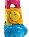 Fisher-Price Growing Baby Animal Stack & Nest Blocks