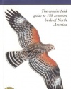 Peterson First Guide to Birds of North America