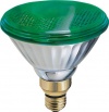 GE 13474 85-Watt Outdoor PAR38 Incandescent Light Bulb, Green