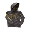 Under Armour Boys' 4-7 UA Web Hoodie