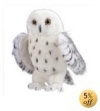 Legend Snowy Owl 3839