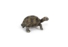 Schleich Giant Tortoise Young Toy Figure