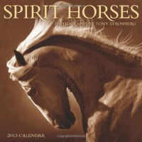 Spirit Horses 2013 Wall Calendar