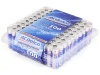 Monoprice ACDelco Maximum Power AA Alkaline Battery 100-Pack, Re-closable