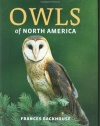 Owls of North America