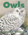 Owls (Kids Can Press Wildlife Series)