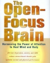 The Open-Focus Brain: Harnessing the Power of Attention to Heal Mind and Body