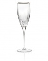 Miller Rogaska by Reed & Barton Soho Platinum Flutes, Clear, 8-Ounce