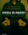 Juvenile Delinquency: Causes and Control