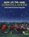 Glow-in-the-Dark Constellations