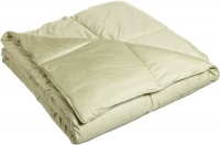 Blue Ridge Home Fashions 300-Thread Count Down Alternative Full/Queen Comforter, Sage