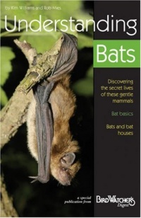 Understanding Bats