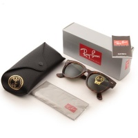 Ray-Ban Meteor Wayfarer Sunglasses