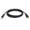 Tripp Lite U022-010 USB 2.0 Certified Gold (A Male to B Male) Device Cable - 10ft