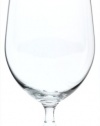 Riedel Ouverture Beer/Ice Water Glass, Set of 2