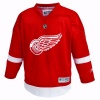 NHL Detroit Red Wings Team Color Replica Jersey Youth