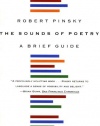 The Sounds of Poetry: A Brief Guide