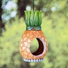 Jim Shore Heartwood Creek Pineapple Birdfeeder Birdfeeder, 12-Inch