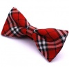 Tok Tok Designs(TM) Bow Ties for Kids (BK148)