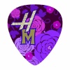 Disney Hannah Montana Guitar Picks- 6 Tear-drop shaped picks