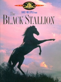 The Black Stallion