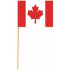 Canadian Flag Picks 50/Pkg-2.75