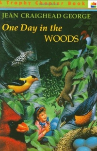 One Day in the Woods