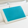 Hyrdraluxe Memory Foam Bed Pillow Color: Cool Cerulean